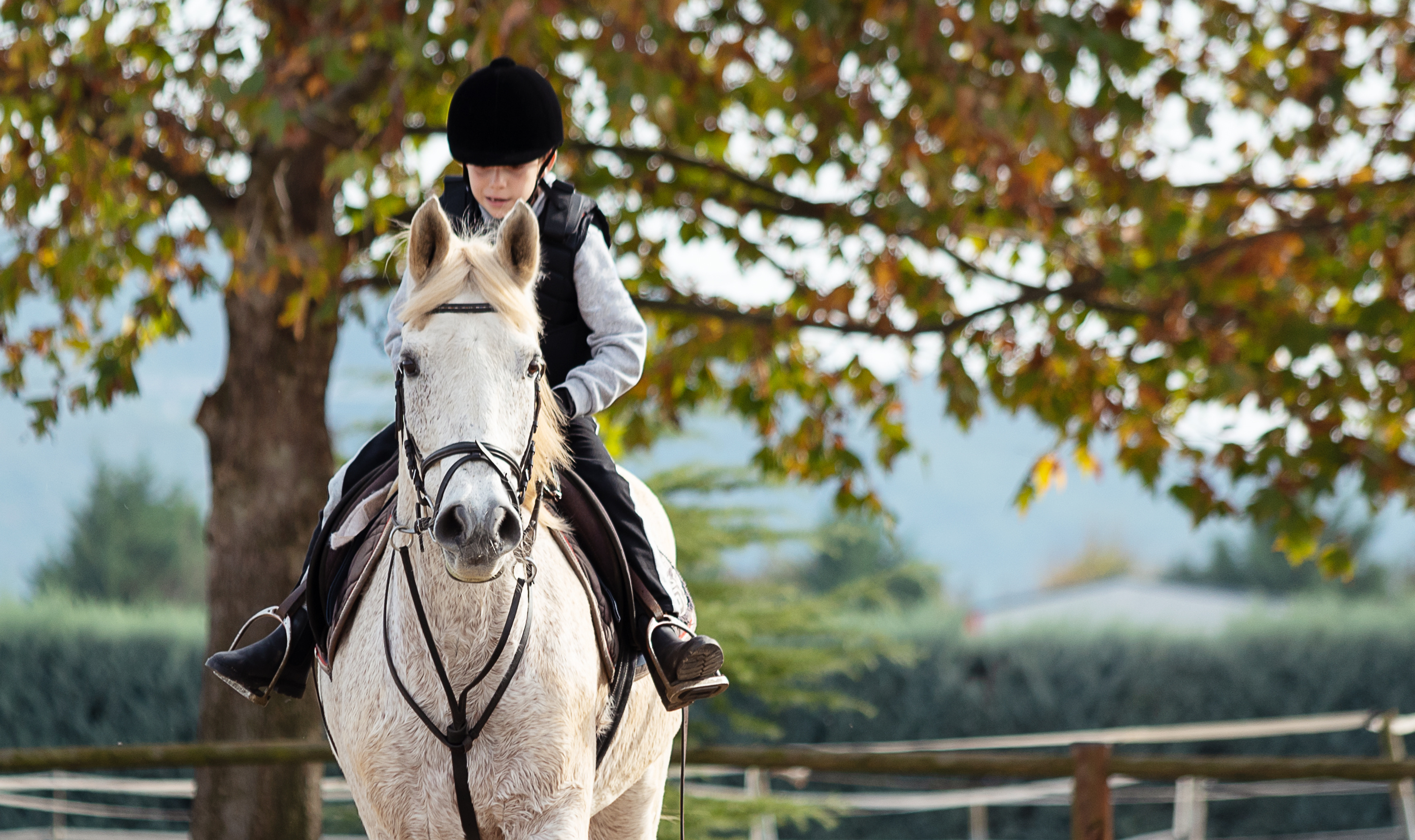 Picture of a boy riding a white horse