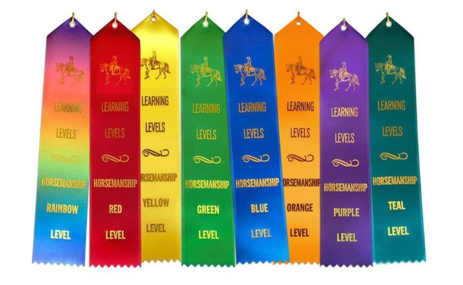 Picture of the HorseSense Riding Levels colored ribbons.