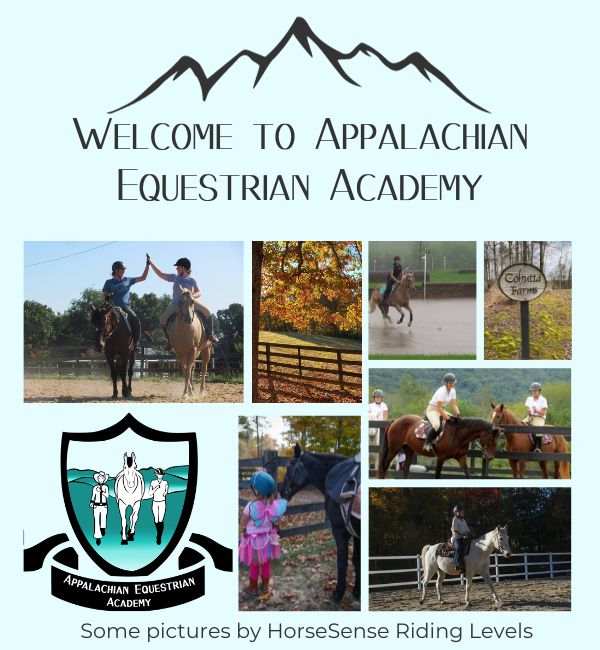 A collage of images from Appalachian Equestrian Academy featuring their logo